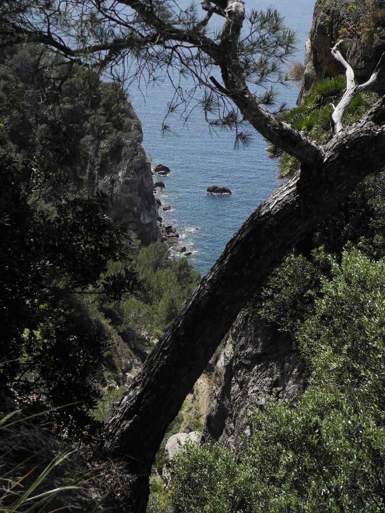 Mallorca 2012